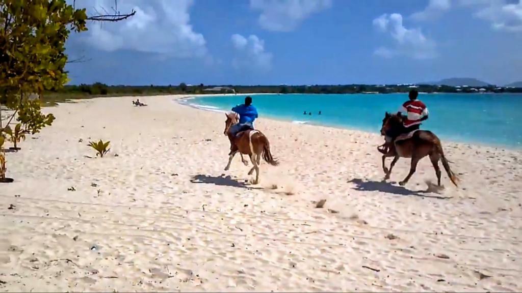 White Sands Anguilla - Sea Blowing Point Village Exterior foto